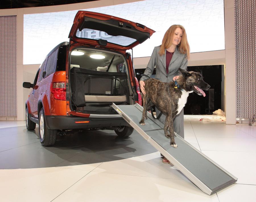  Honda Element Concept Dog Friendly 2010 года  (фото 5 из 16)